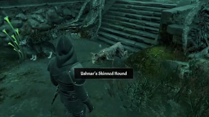 TES IV Oblivion Ushnar