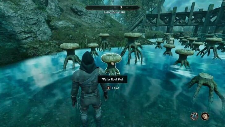 TES IV Oblivon Water Root Pod Pits