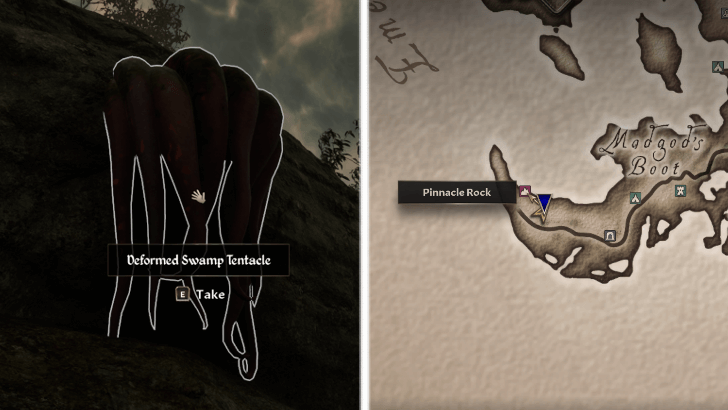 Deformed Swamp Tentacle