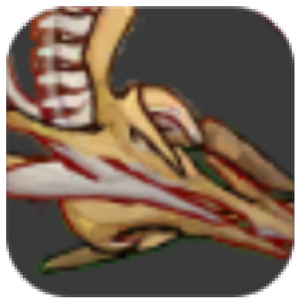 Honkai Star Rail - Languid Ethmoid Bone