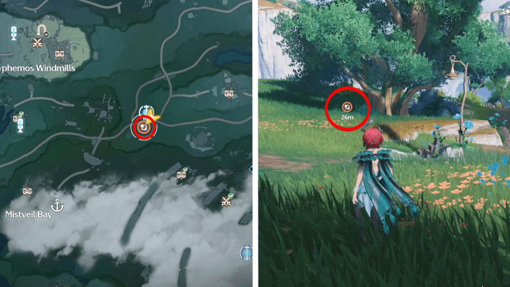 Follow Carlotta & Look for Topaz