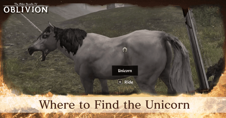 The Elder Scrolls IV Oblivion Remastered Where to Find the Unicorn.