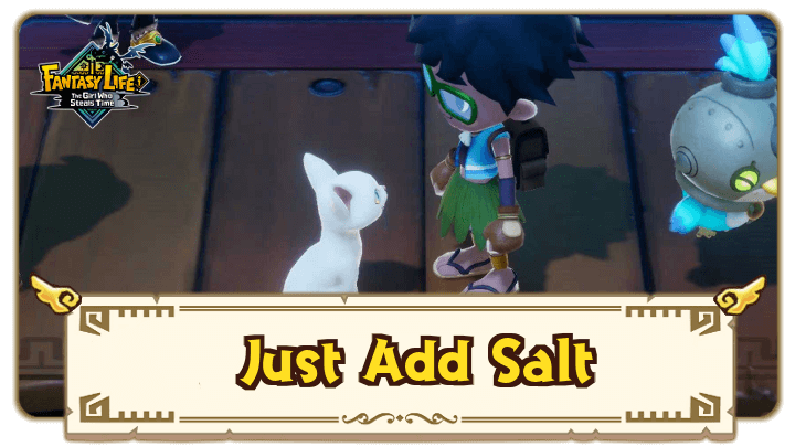 FANTASY LIFE i - Just Add Salt Walkthrough Guide