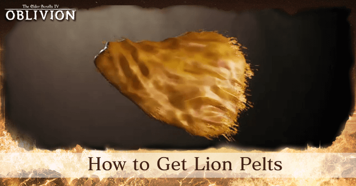 The Elder Scrolls IV Oblivion - How to Get Lion Pelts