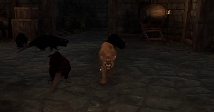 Elder Scrolls IV Oblivion - Mountain Lion