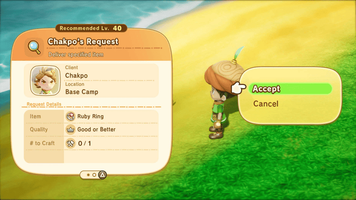 Buddy Request Details