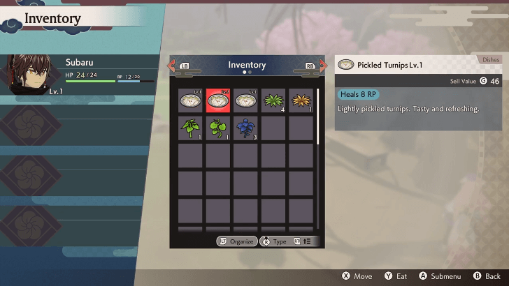 Inventory Cannot Be Expanded