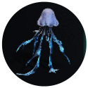 Polar Jelly