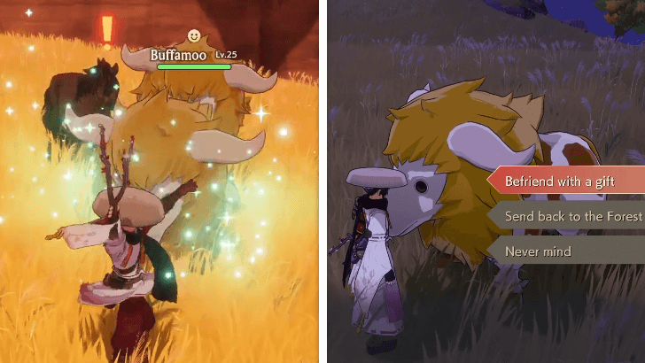 Befriending a Buffamoo