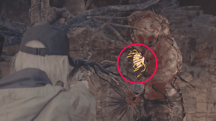 Executioner Chest Core