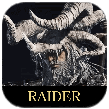 Raider Icon