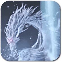 Elden Ring Nightreign Caligo Icon