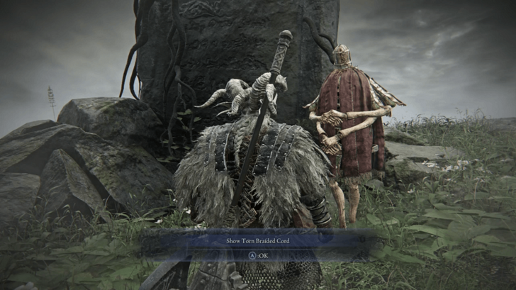 Show the Torn Braided Cord