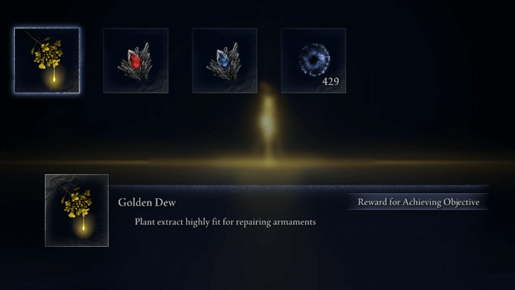 Elden Ring Nightreign - Conclude Expedition