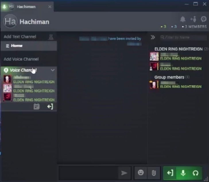 Elden Ring Nightreign Steam Voice Call Step 4