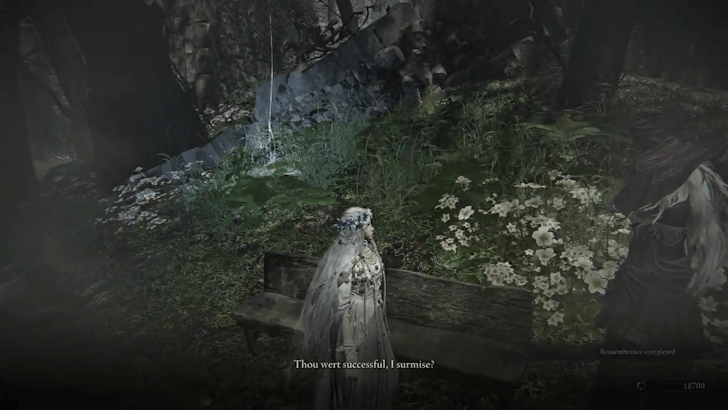 Revenant Talk to Recluse Again