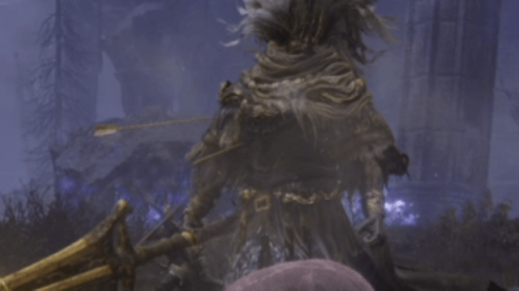 Elden Ring Nightreign Nameless King