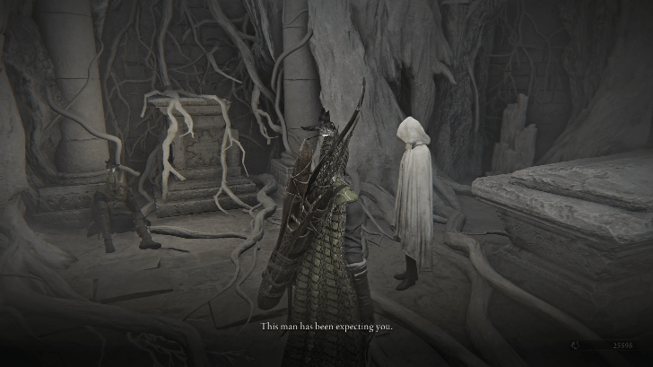 Ironeye Remembrances Traitor