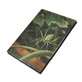 Spider Painting