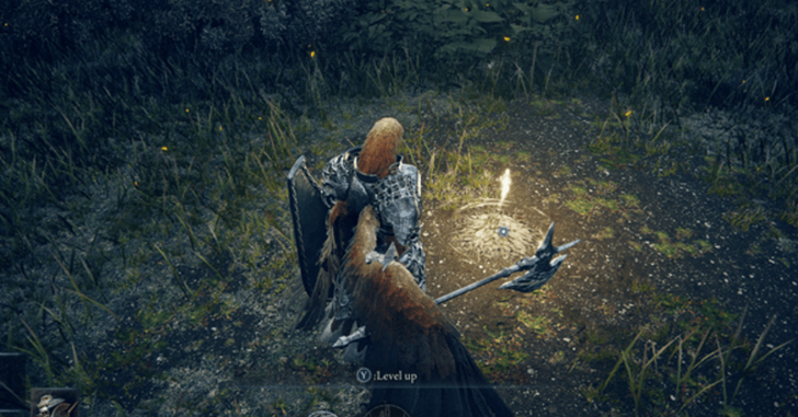 Sites of Grace Level Up