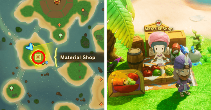 FANTASY LIFE i - Pirate Treasure Merchant