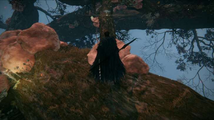 Jump on the thin branch