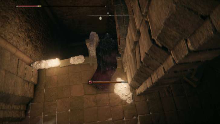 Go down the ladder and activate the site of grace