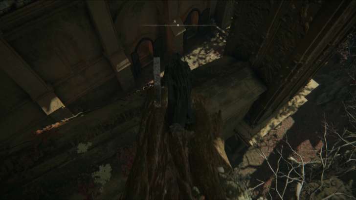 Follow the branch and juump onto the platform