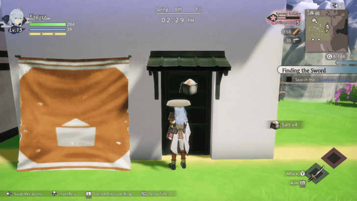 Collecting Salt from Saltern