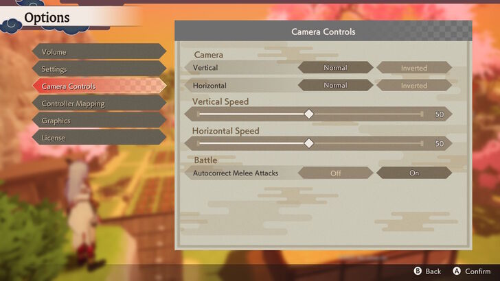 Camera Configuration