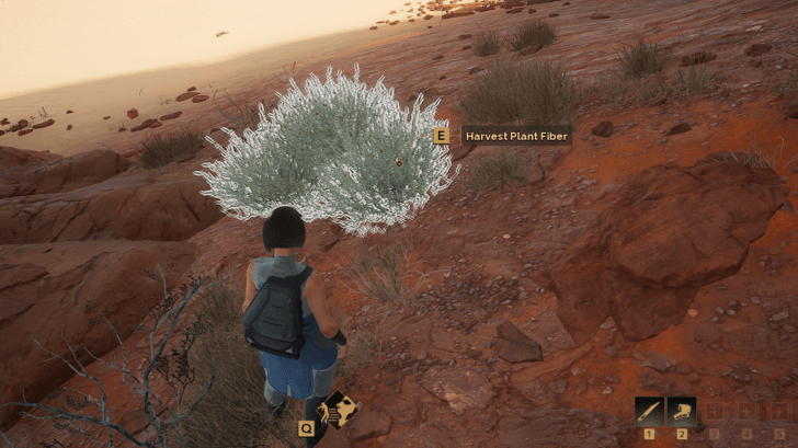 Plant Fiber in the Overworld