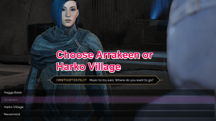 Flight Destination Options