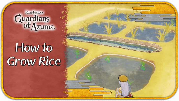 Rune Factory Guardians of Azuma - How to Grow Rice
