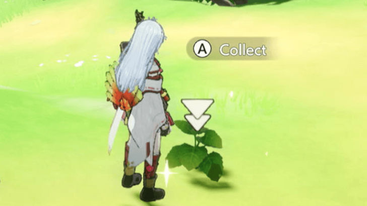 Kaguya Collecting Wild Plants in Rune Factory Guardians of Azuma