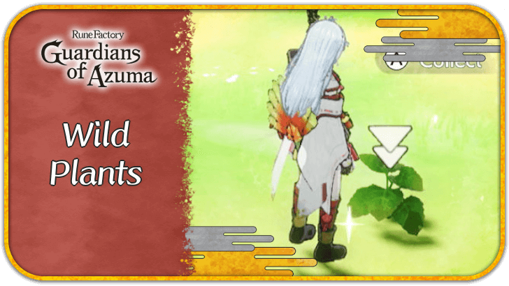Rune Factory Guardians of Azuma - List of All Wild Plants