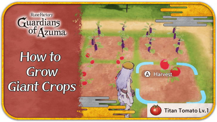 Rune Factory Guardians of Azuma - How to Grow Giant Crops