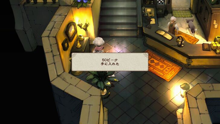 Intro hidden item 50 pg