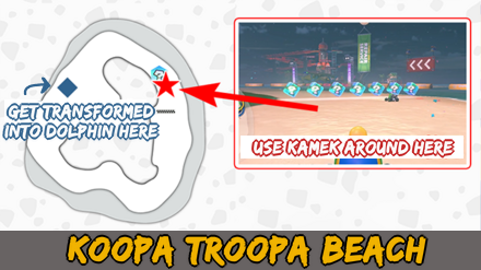 Dolphin - Koopa Troopa Beach EN