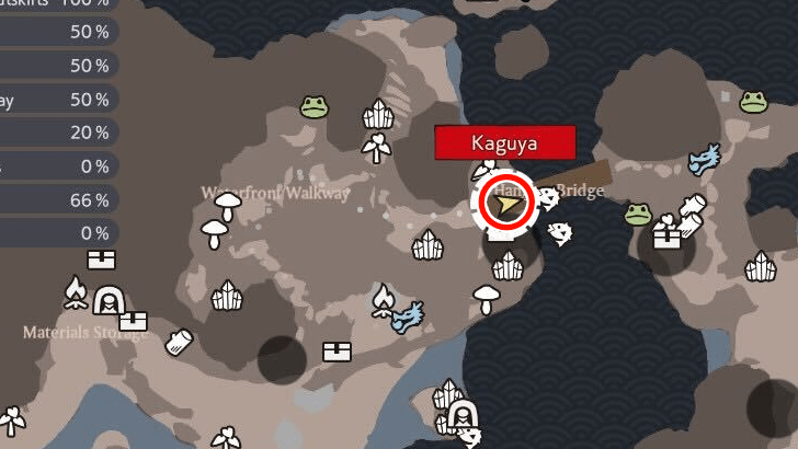 Summer Region Target Location