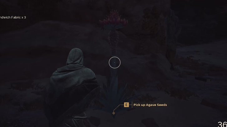 Agave Seeds Overworld Location