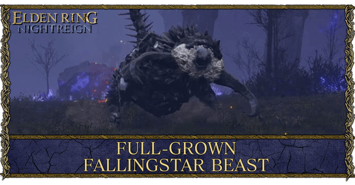 Elden Ring Nightreign Full-Grown Fallingstar Beast