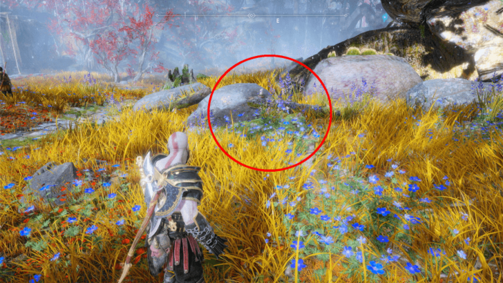 Turtles Tribute Location