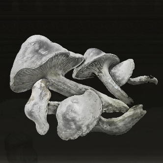 Whiteflesh Mushroom Icon