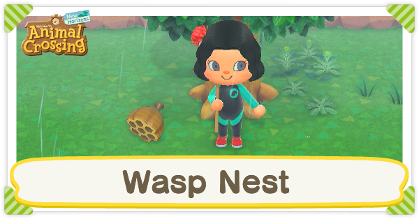 Wasp Nest
