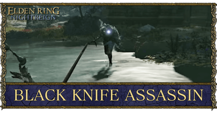 Elden Ring Nightrein - Black Knife Assassin