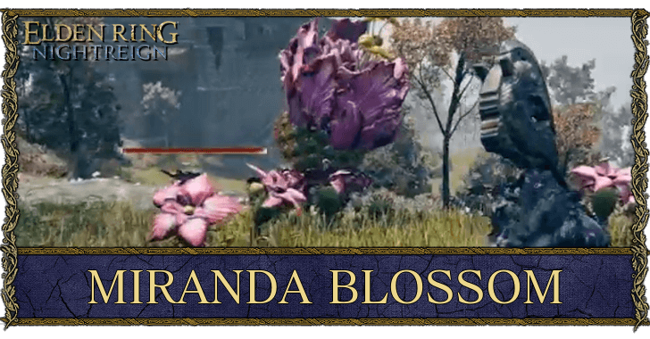 Elden Ring Nightrein - How to Beat Miranda Blossom