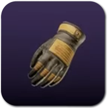 Aren’s Gloves