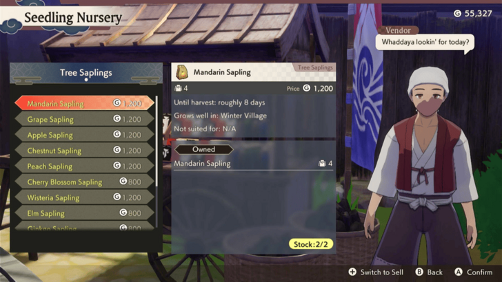 Seedling Nursery with Tree Saplings