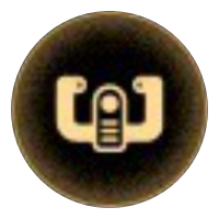 Fuel Efficient Driver Icon