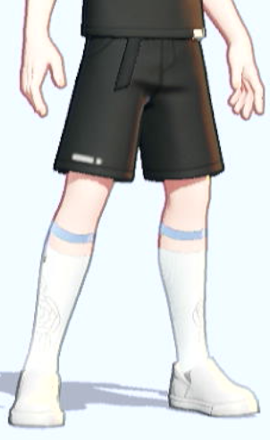 Tea Party Style Set (Clefable, Light Blue): Socks Preview